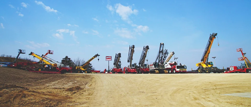 Group of cranes