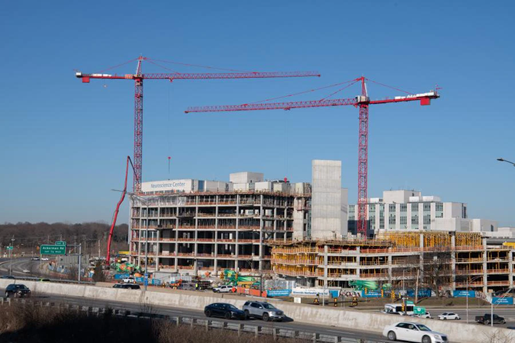 Here's to Good Health CS 2 crane image