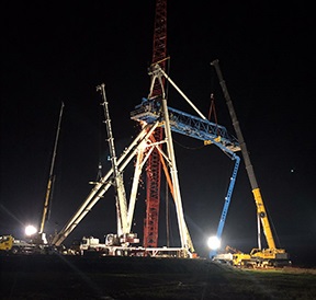 Five cranes were arranged in a circle to lift the lumberyard crane