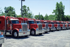 Fleet of All Crane Trucks